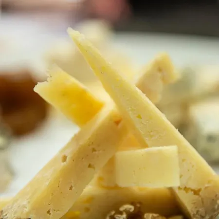 酒店 Rural Tixileiro-cecos