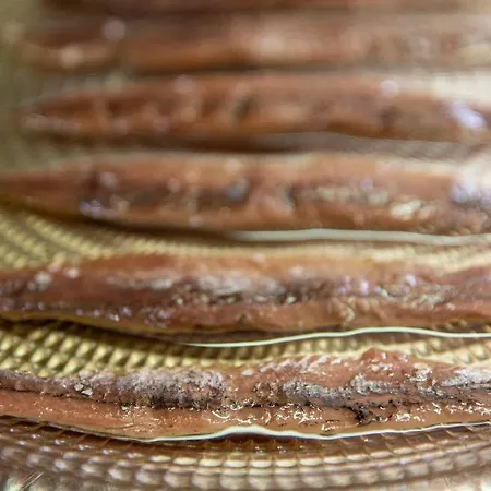 Rural Tixileiro-cecos 酒店 3*